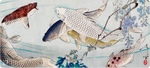 Laghetto per Koi