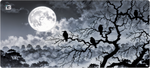 Silent Watchers