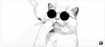 Smoking Cat