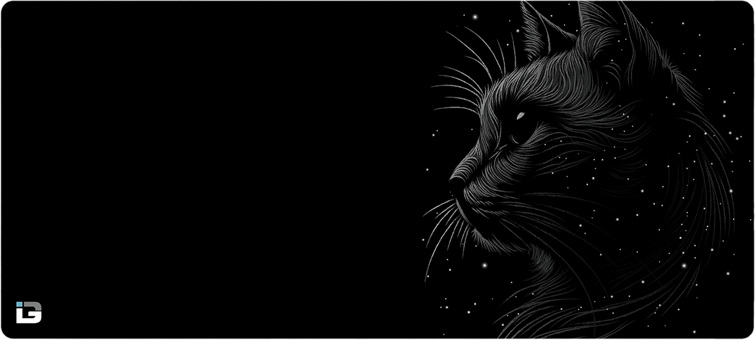 Space Cat