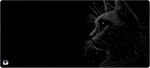 Space Cat