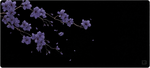 Blossom Breeze