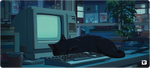 Lofi Sleeping Cat