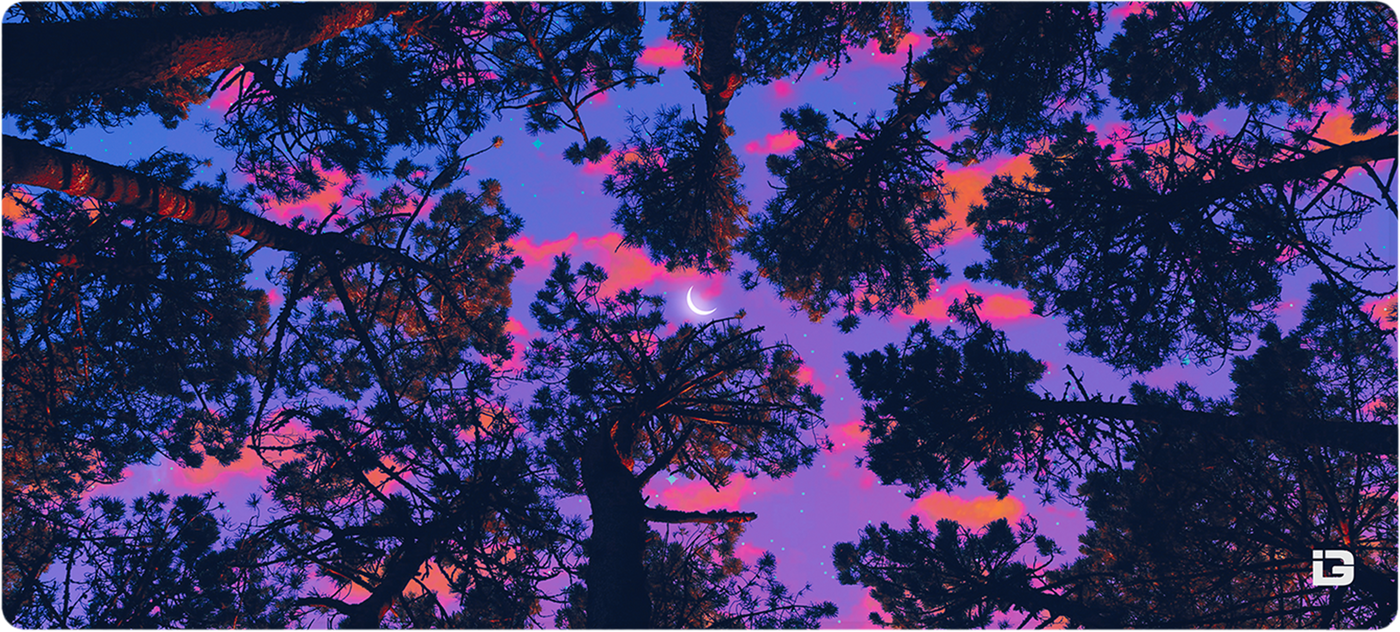 Forest Views