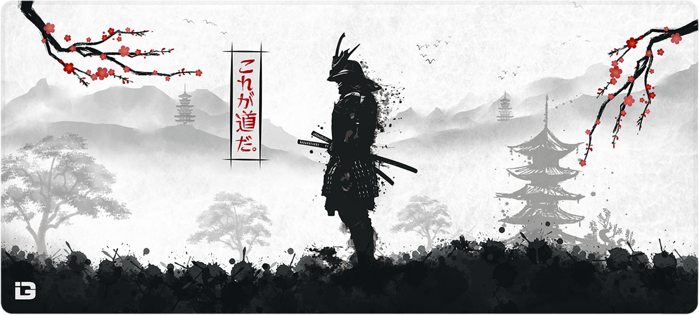 Samurai Warrior