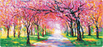 Cherry Blossom Trees