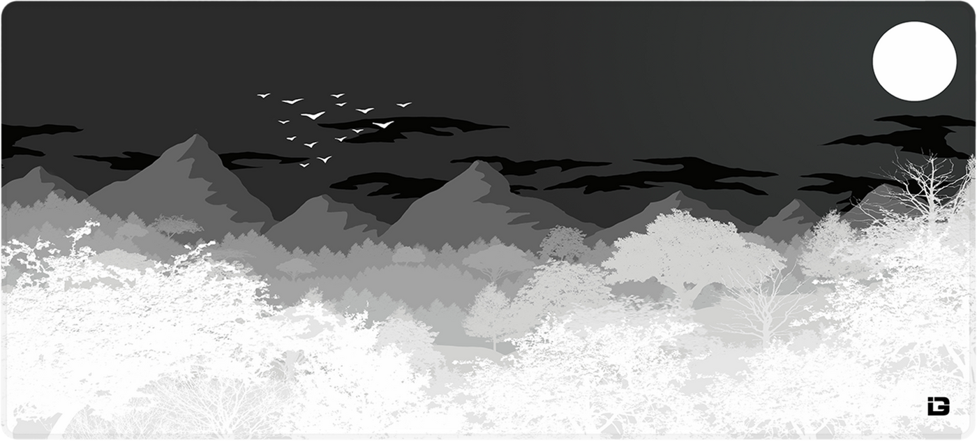 Mouettes - Monochrome