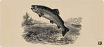Vintage Trout