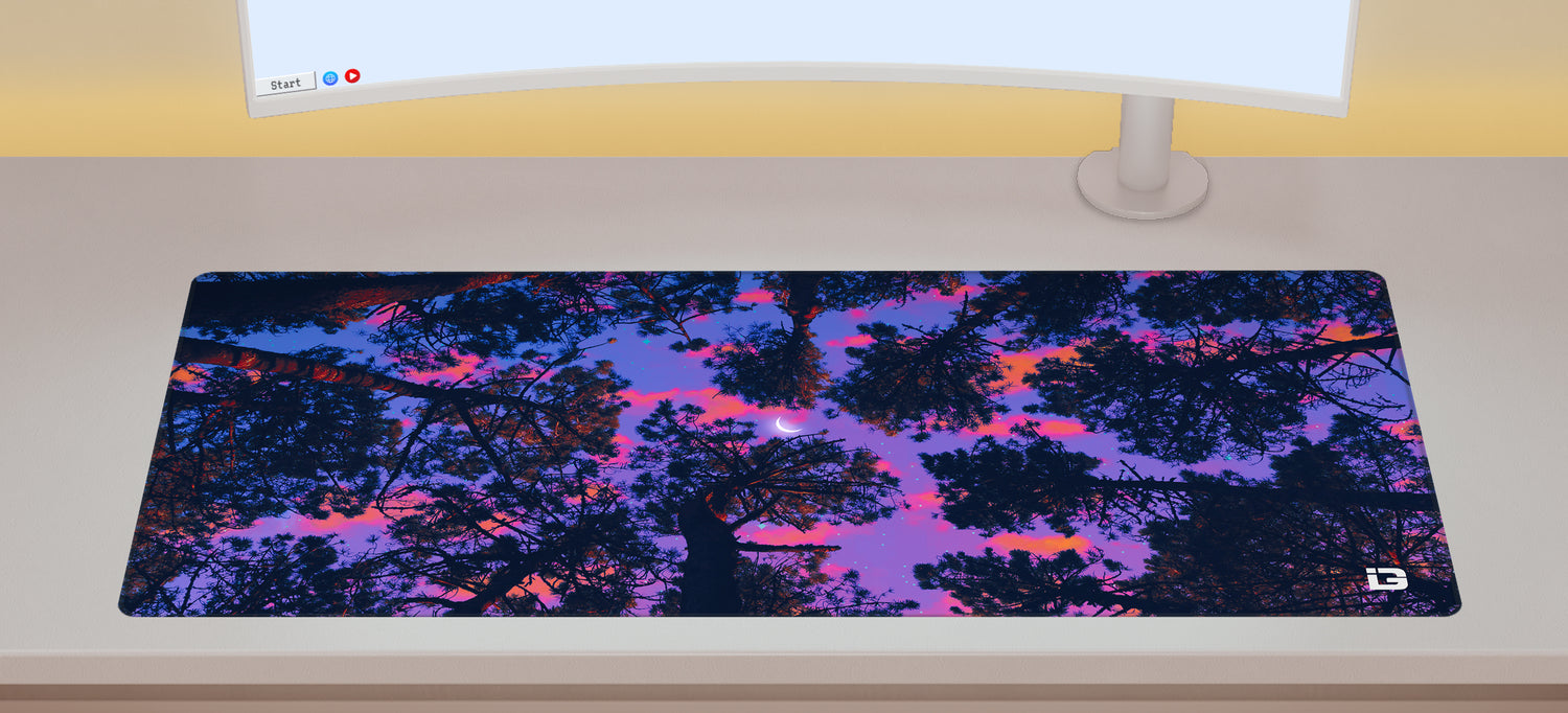 Forest Views