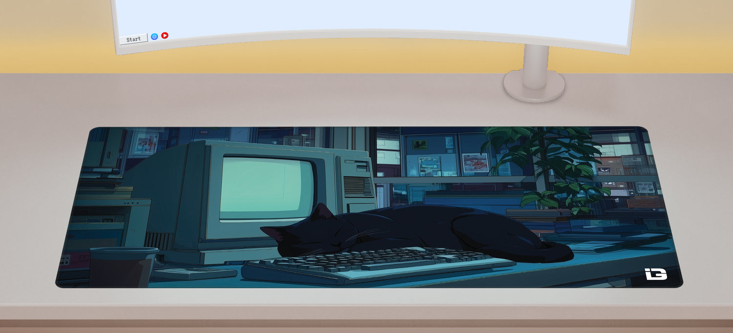 Lofi Sleeping Cat