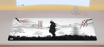 Samurai Warrior