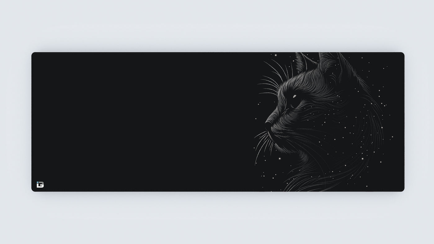 Space Cat