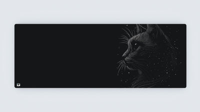 Space Cat