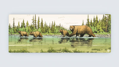 Famille Ours