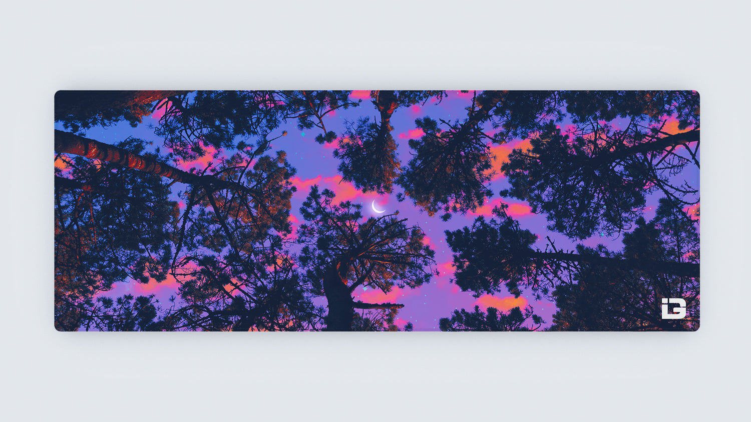 Forest Views