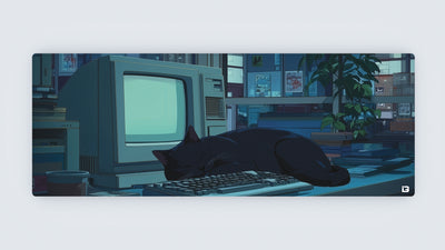 Lofi Sleeping Cat