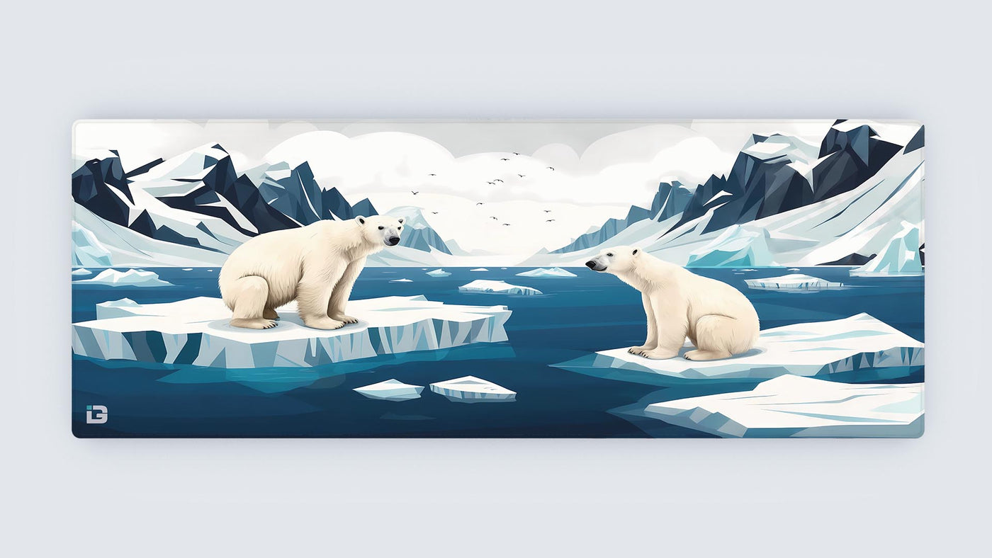 Polar Duo Chill
