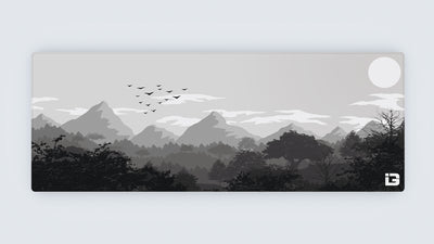 Gulls - Monochrome