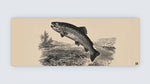 Vintage Trout