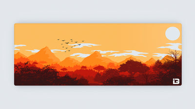 Gulls - Sunrise