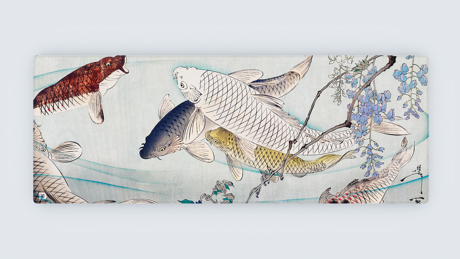 Laghetto per Koi