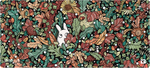 Chibi Leaves
