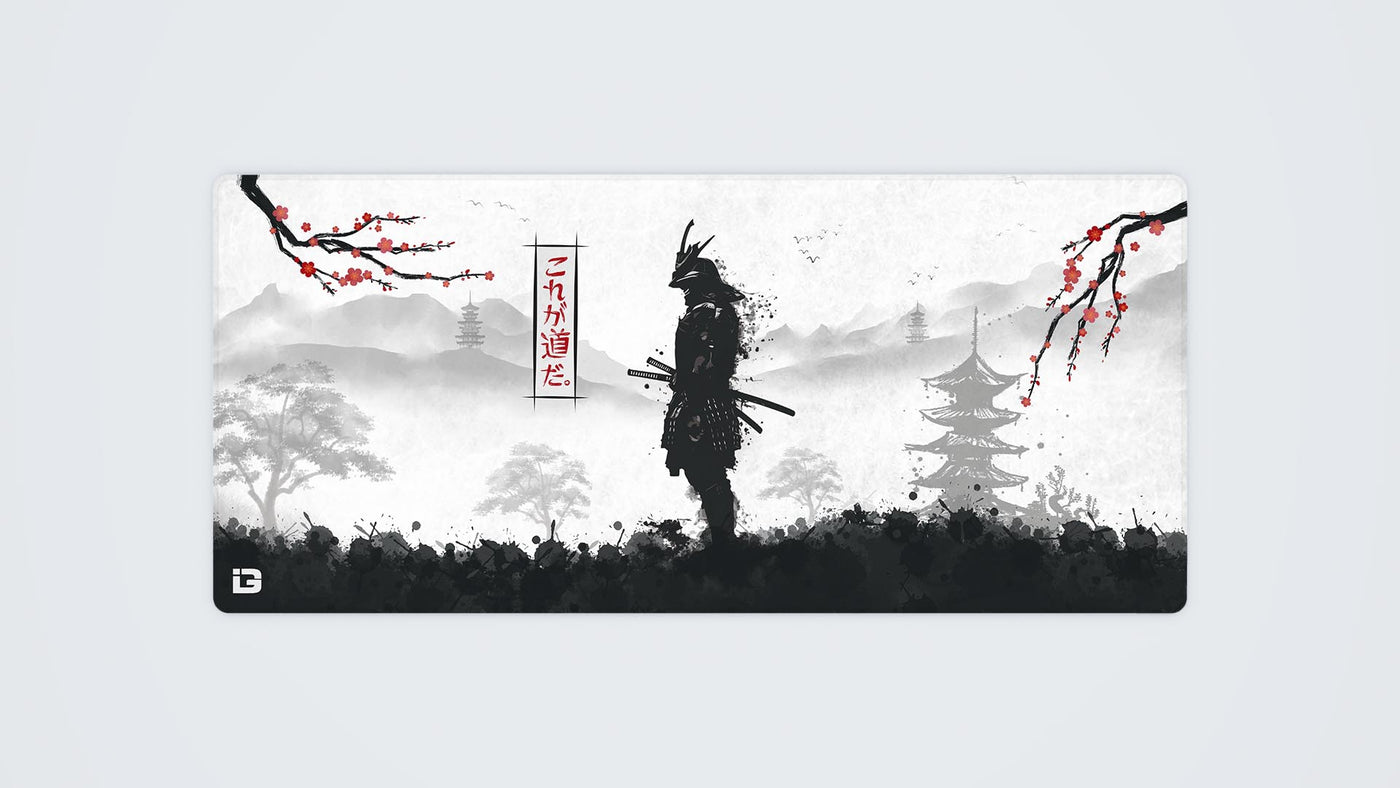 Samurai Warrior