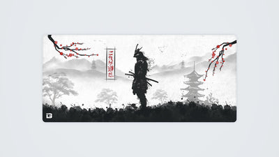 Samurai Warrior