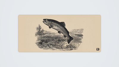Vintage Trout