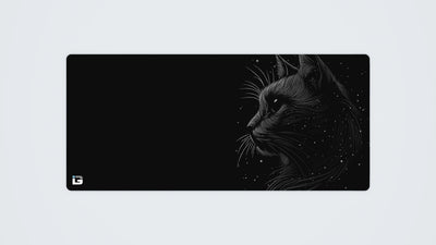 Space Cat