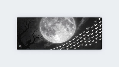 Wings Of Midnight