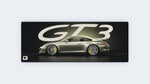 Silver GT3