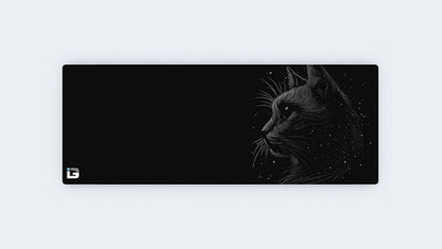 Space Cat