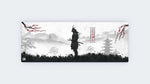 Samurai Warrior