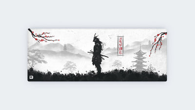 Samurai Warrior