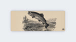 Vintage Trout