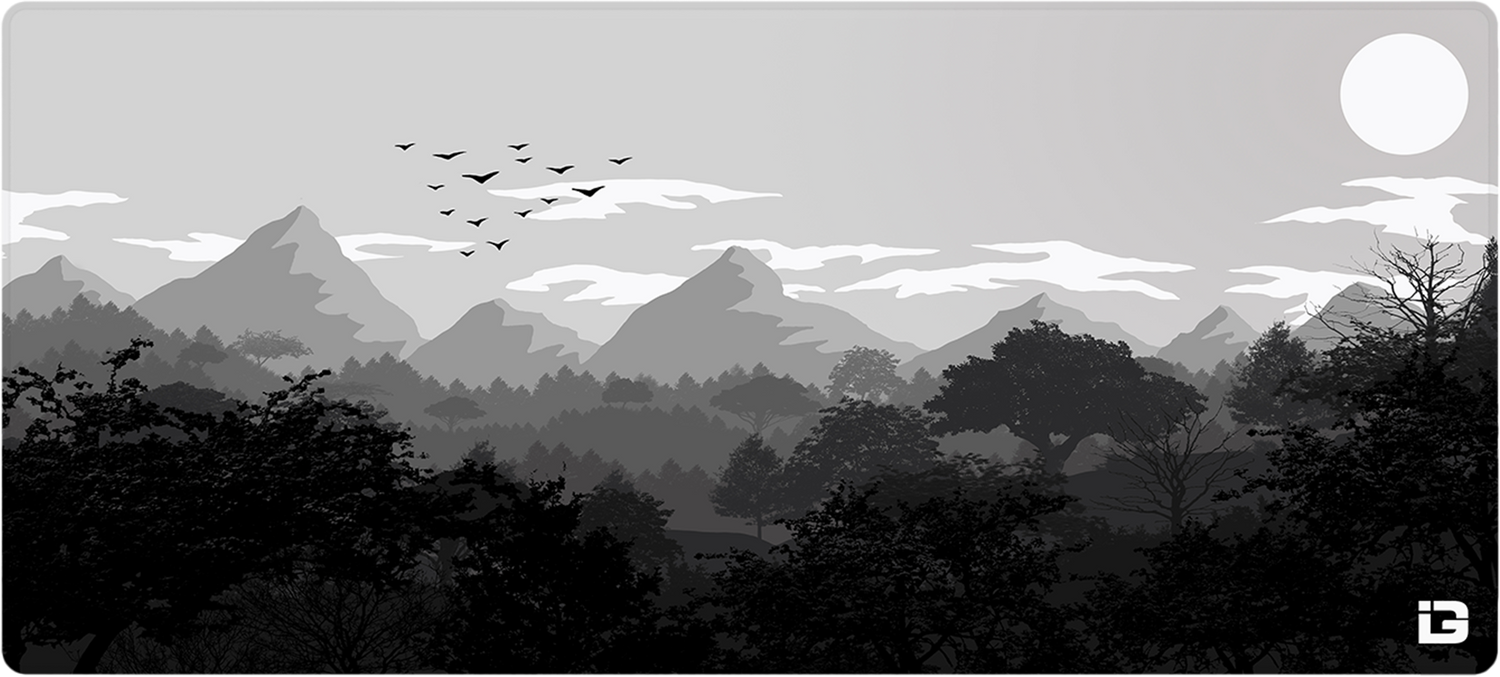 Gulls - Monochrome