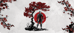 Ninja MGS