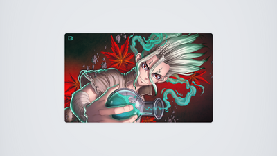 Dr Stone