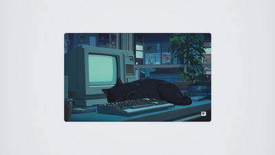 Lofi Sleeping Cat