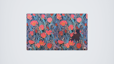 Gatto Nero e Tulipani