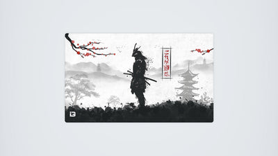 Samurai Warrior
