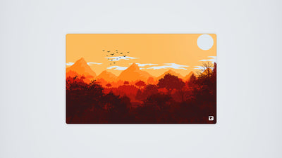 Gulls - Sunrise
