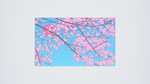 Sakura Skies