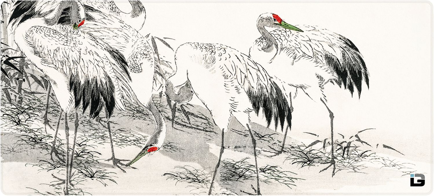 Cranes Bianchi