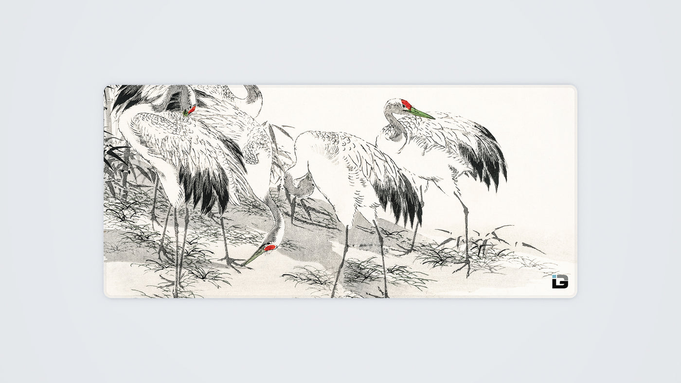 Cranes Bianchi