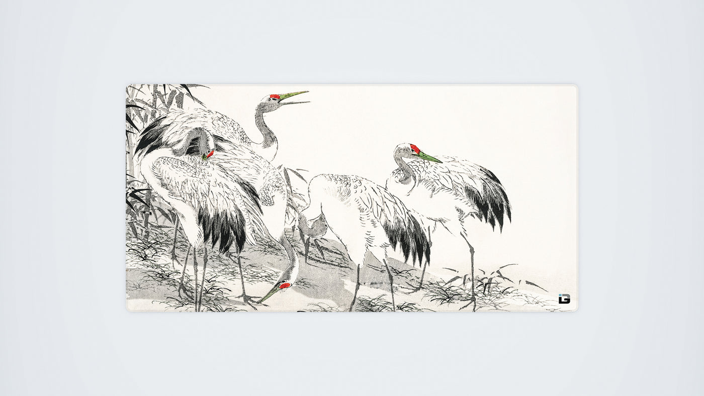 Cranes Bianchi