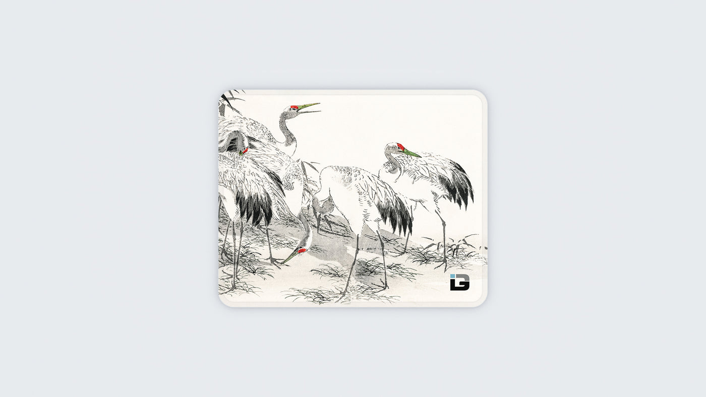 Cranes Bianchi