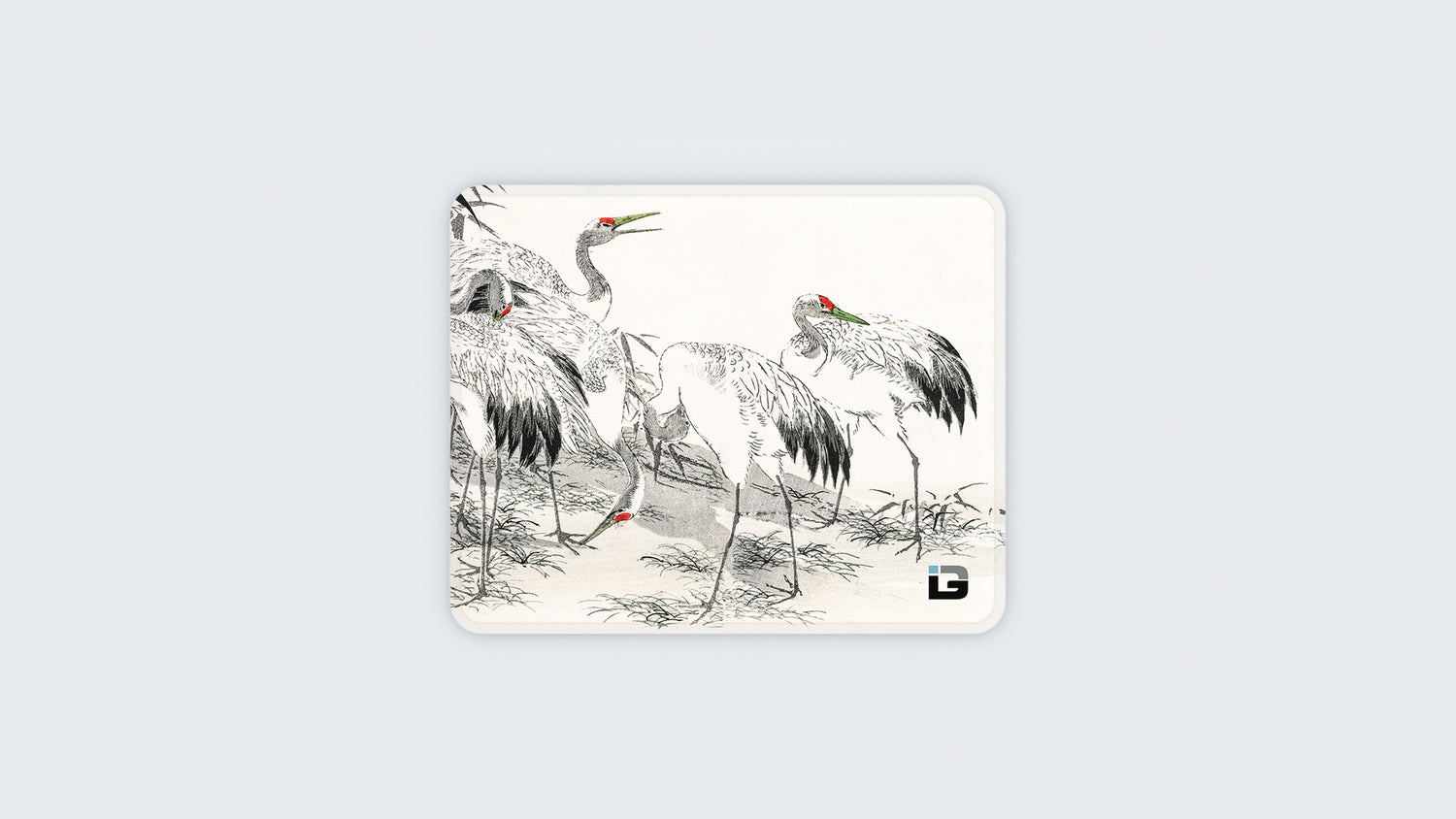 Cranes Bianchi