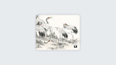 Cranes Bianchi